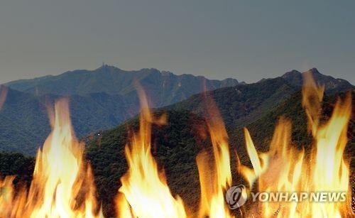 보은 어성리 야산 '불'…임야 0.1㏊ 소실 - 1