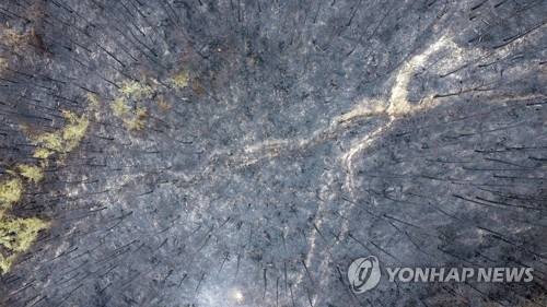 하루 3~4번 화마 덮쳐 몸살…봄철 바짝마른 산 '화약고'(종합) - 2