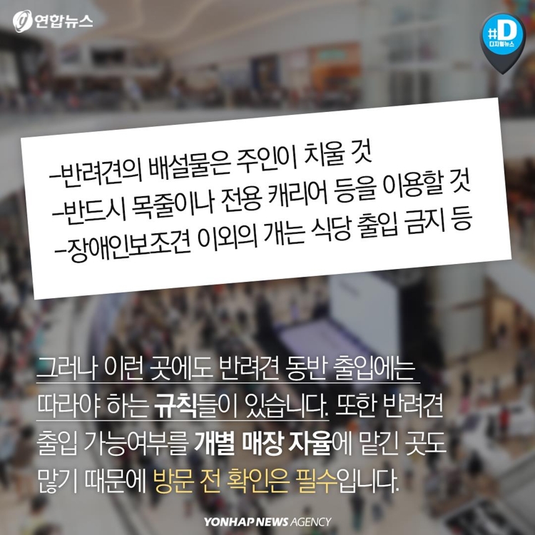[카드뉴스] '반려견 동반 쇼핑몰' 등장에 갈리는 여론 - 6
