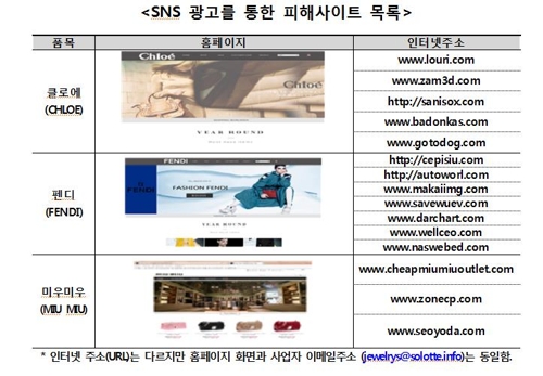 '명품 가방 90% 할인?'…한국소비자원, SNS 광고 사기 주의보 - 1