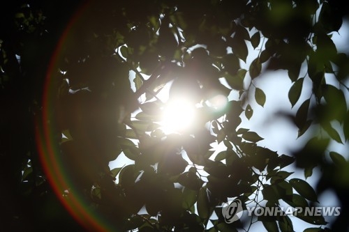 햇볕 내리쬐는 광주 운천호수공원