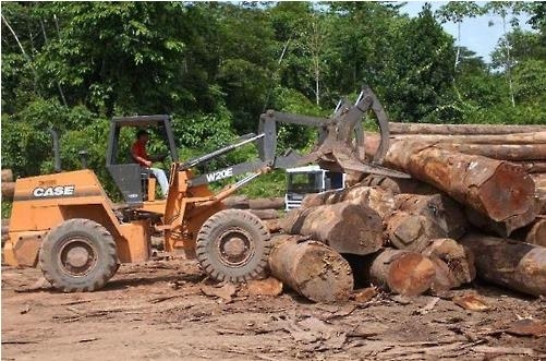 아마존 열대우림에서 벌어지는 불법벌목 [국영 뉴스통신 아젠시아 브라질]
