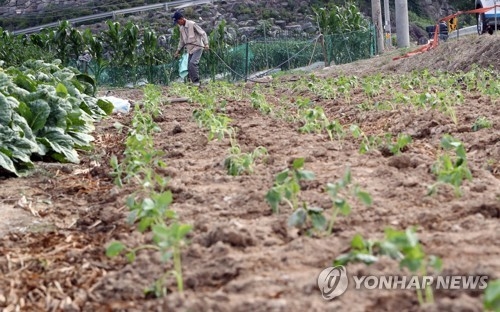 "비는 언제 오는 겨"