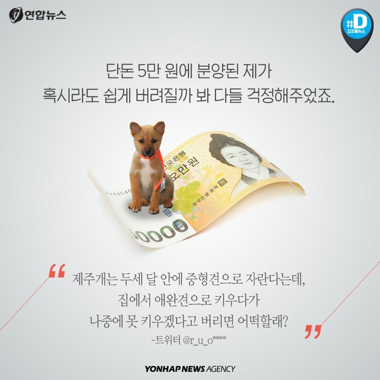 [카드뉴스] "국내 멸종 위기 강아지 단돈 5만원에 팝니다" - 7