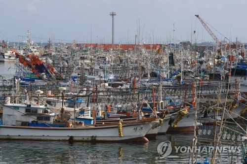 태풍 피해 항구에 정박한 어선들(제주=연합뉴스) 김호천 기자 = 북상하는 제5호 태풍 '노루'를 피해 5일 오전 제주 서귀포시 성산항에 어선들이 정박해 있다. 2017.8.5khc@yna.co.kr(끝)