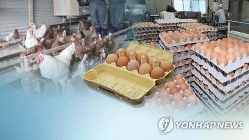 살충제 계란 파동 (연합뉴스 자료 이미지)
