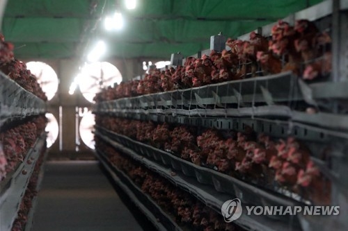 살충제 성분 검출된 나주 농가