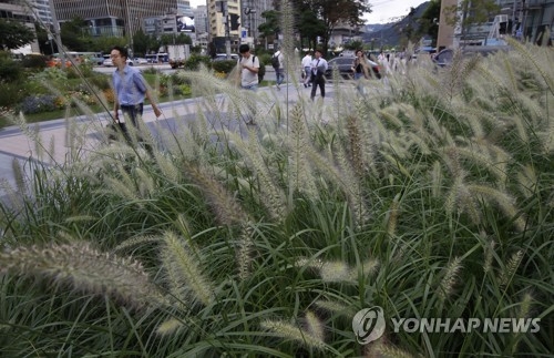 충북 대체로 맑은 날씨…"외출하기 좋아요" - 1
