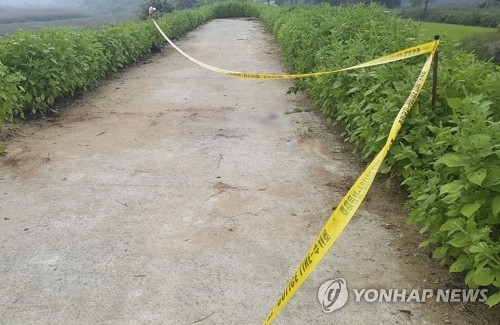 청주 나체 20대 여성 살해 용의자 긴급체포(종합) - 2