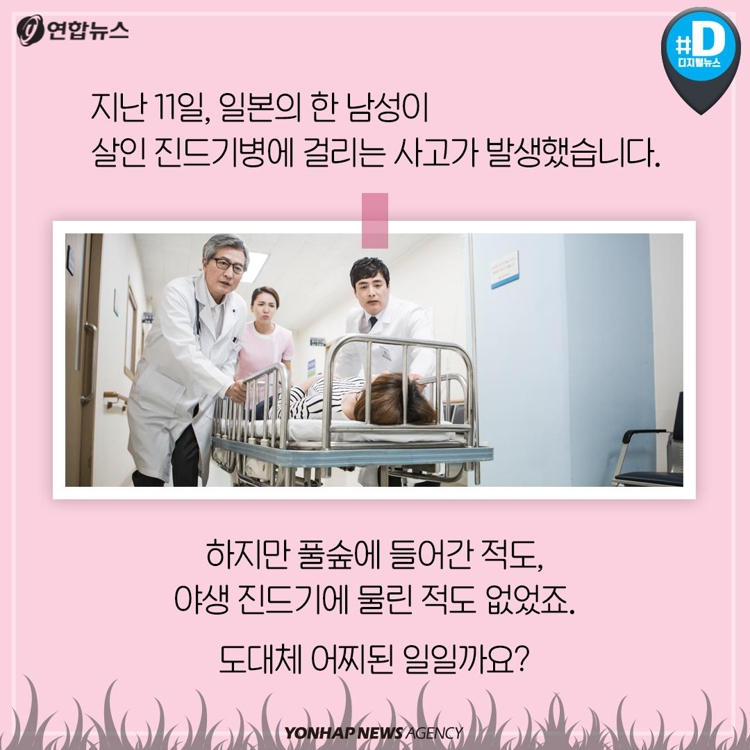 [카드뉴스] "반려견과 뽀뽀한 남성, 살인진드기병에 걸렸다" - 2