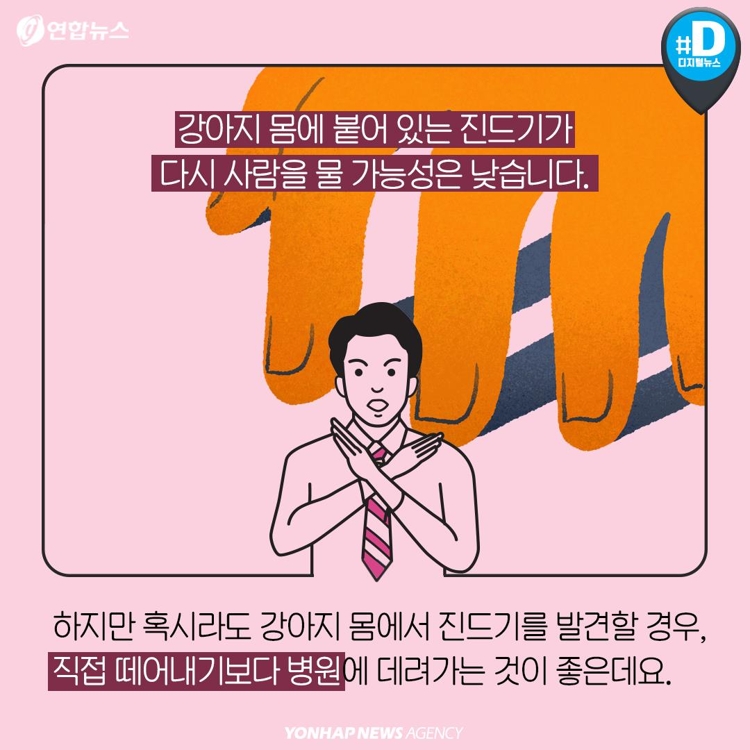 [카드뉴스] "반려견과 뽀뽀한 남성, 살인진드기병에 걸렸다" - 11