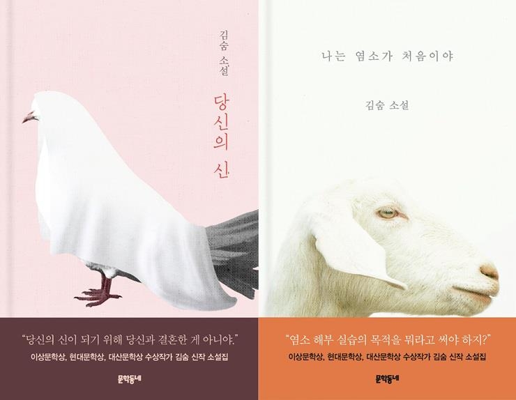 소설가 김숨 "폭력의 대물림 이야기하고 싶었다" - 3