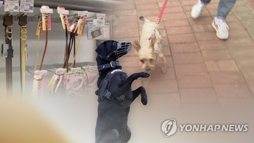 개 목줄·입마개 자료사진 [연합뉴스 TV]