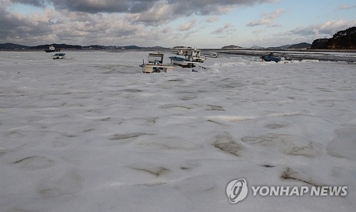 꽁꽁 언 바다 (서산=연합뉴스) 조성민 기자 = 영하 10도 아래로 떨어지는 강추위가 지속하면서 이번 주 들어 충남 서산시와 태안군 사이 경계를 이루는 가로림만이 얕은 바다를 중심으로 결빙을 시작했다. 서산시 지곡면 중왕1리 포구의 경우 선착장에 두께 10㎝ 안팎의 얼음이 얼어 소형선박이 출항하지 못해 수확 철인 굴과 감태 조업에 차질을 빚고 있다. 2018.1.12min365@yna.co.kr
