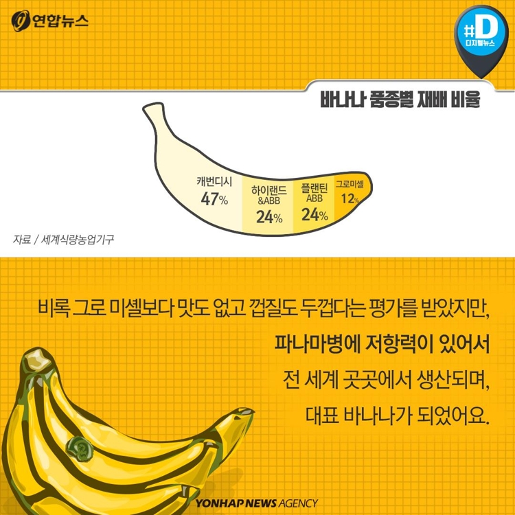[카드뉴스] "바나나가 지구에서 사라진대요" - 5
