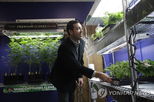 미 캘리포니아주의 한 마리화나 판매점