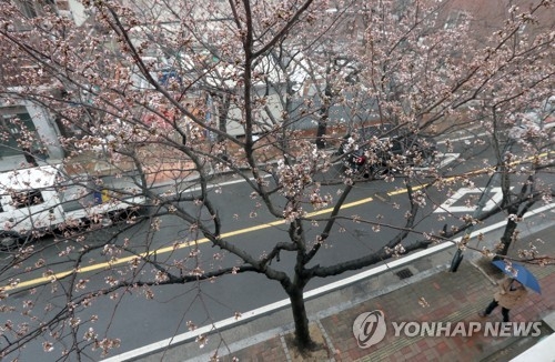 충북 차차 흐려져 오후 한때 비…낮 최고 21도 - 1