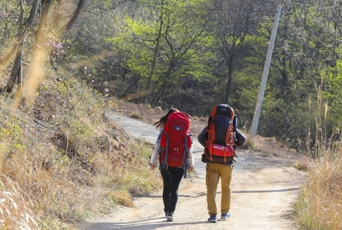 아무도 찾지 않는 작은 섬을 걷는다는 것. 그것이 주는 매력(성연재)