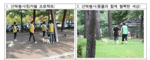 "유기견과 공원 산책하며 입양 생각해보세요" - 1