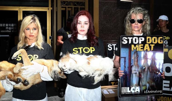 미 LA서 개고기 식용반대 시위 
