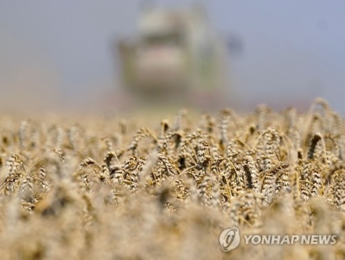독일의 수확 현장. 가뭄으로 큰 타격이 우려된다.[EPA=연합뉴스]