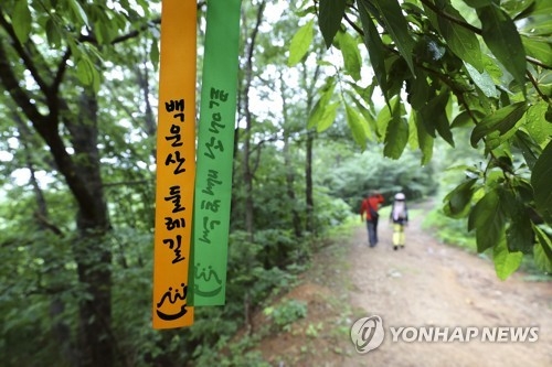 광양 백운산