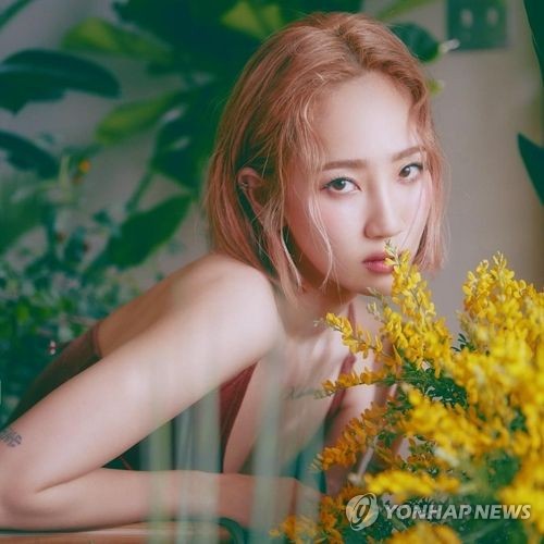 연합뉴스 자료사진