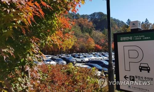 단풍철 관광지 무질서 행위에 '몸살'…"시민의식 제고 절실" - 1