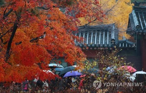 비, 가을, 그리고 고궁