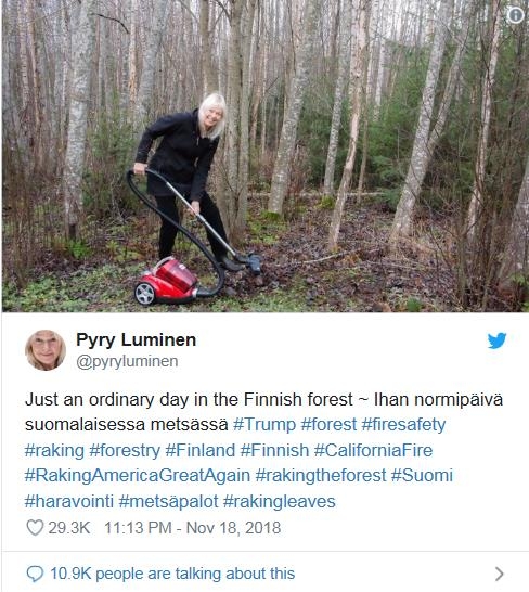 핀란드 숲에서 일상적으로 있는 일이라며 트위터에 오른 사진