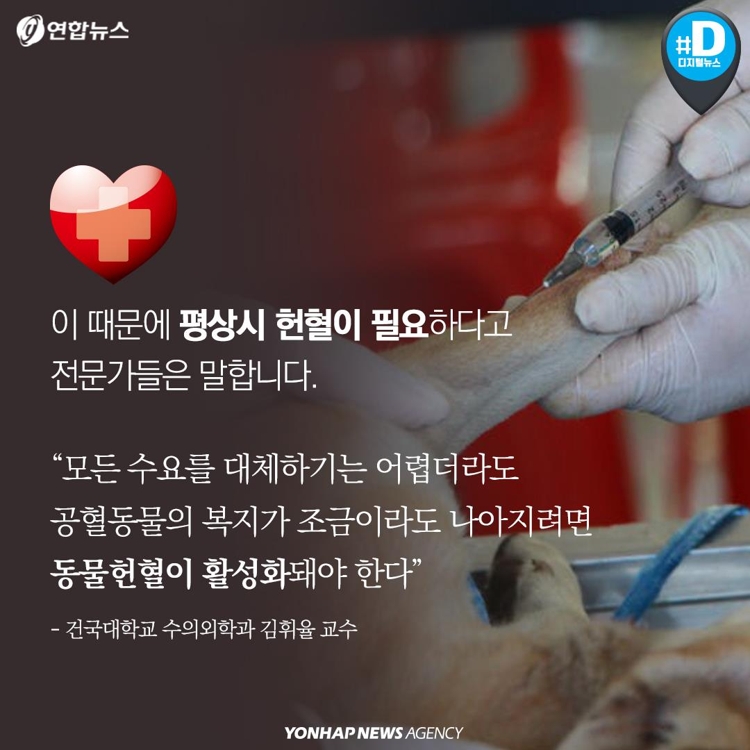 [카드뉴스] 우리 개와 고양이도 헌혈해보면 어떨까요? - 6