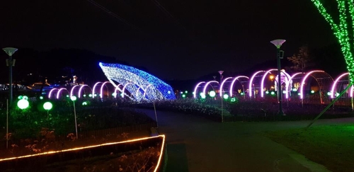 울산 빛축제