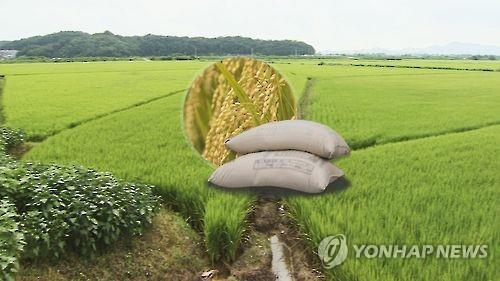 쌀 직불제 개편