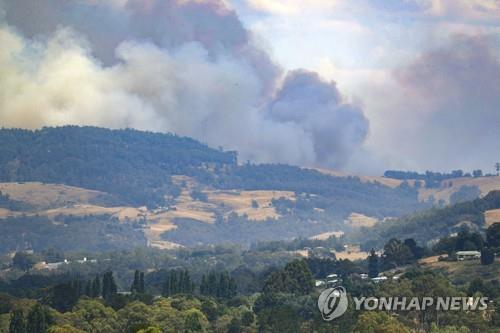 뉴질랜드 산불