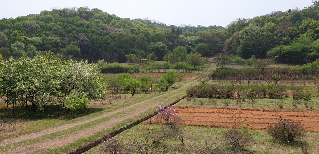 구리 동구릉 양묘장
