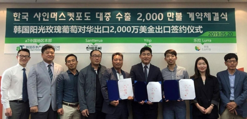 韓 샤인 머스캣 포도, 2천만불 계약 체결