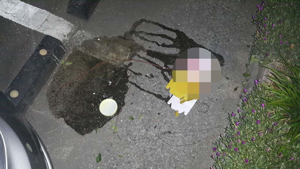 차량 파손한 꿀병