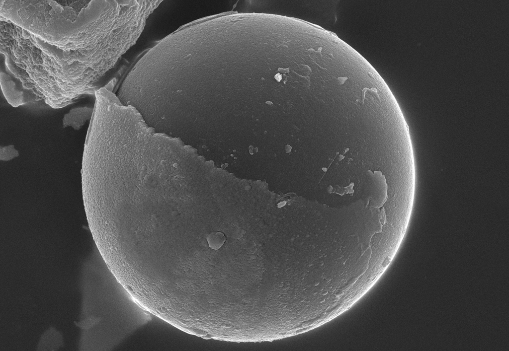 화학적 미세 수중로봇 현미경 사진
