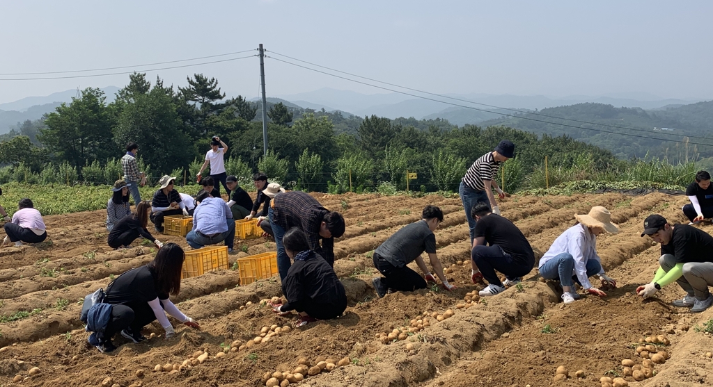 공공기관 미혼남녀 농촌봉사활동