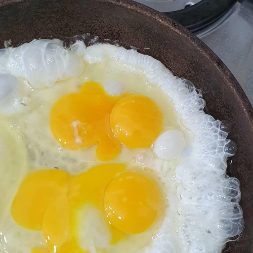 쌍란 계란 프라이