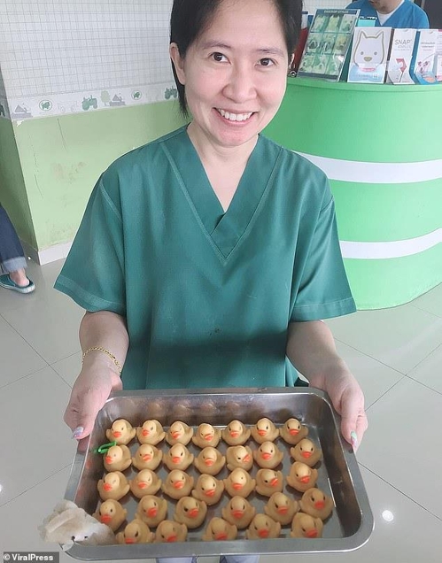 불도그 배 속에서 꺼낸 32마리 고무 오리 인형