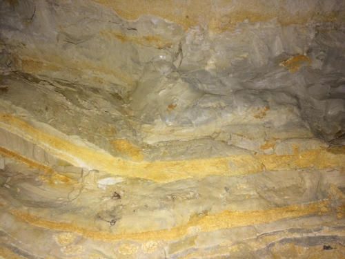 네덜란드 동굴에서 발견된 K-Pg 경계를 담은 화석 