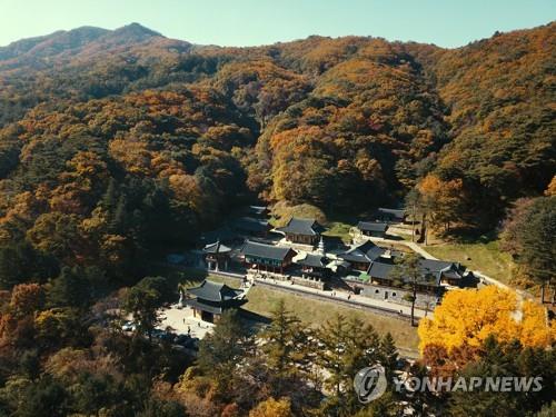 산사와 어우러진 치악의 단풍
