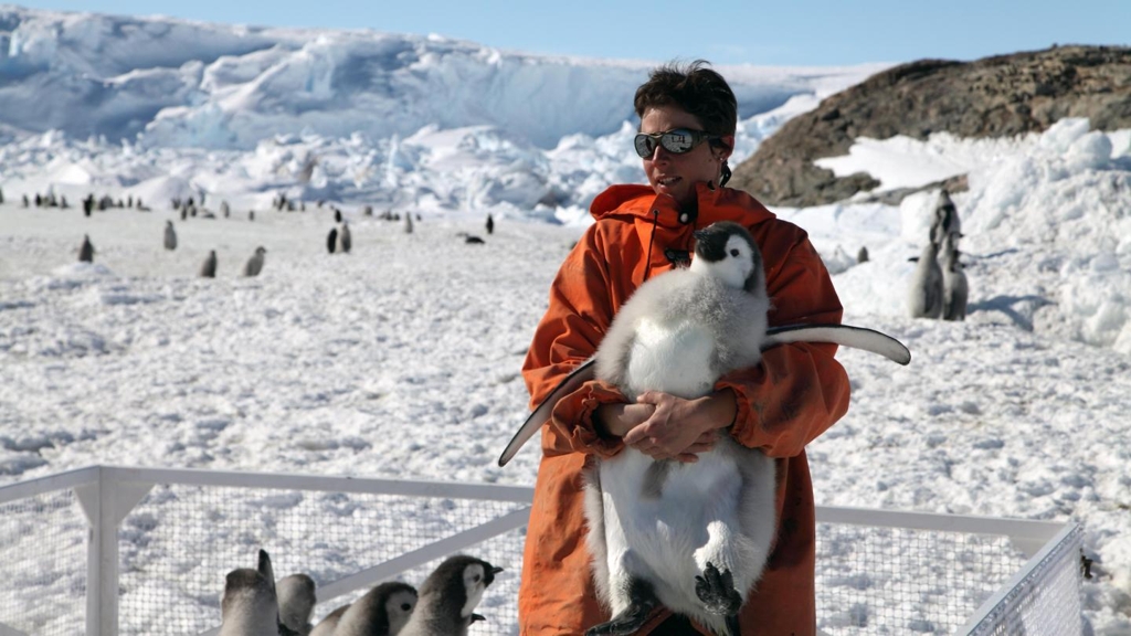 남극 현장탐사 중 새끼 펭귄을 안은 제누비에 박사 