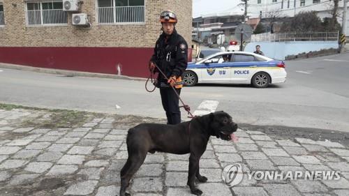 도심 활보하다 포획된 맹견(사진은 기사 내용과 무관)