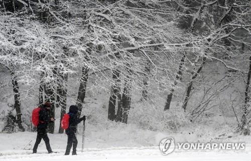 (평창=연합뉴스) 양지웅 기자 = 강원 산지를 중심으로 대설주의보 내렸던 이달 25일 강원 평창군 대관령길에서 관광객들이 설경과 함께 겨울을 만끽하고 있다. 2019.11.25 yangdoo@yna.co.kr(끝)