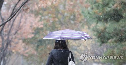 서울에 내리는 눈