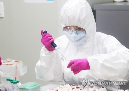 바이러스 배양 실험