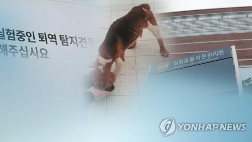 탐지견 실험 논란