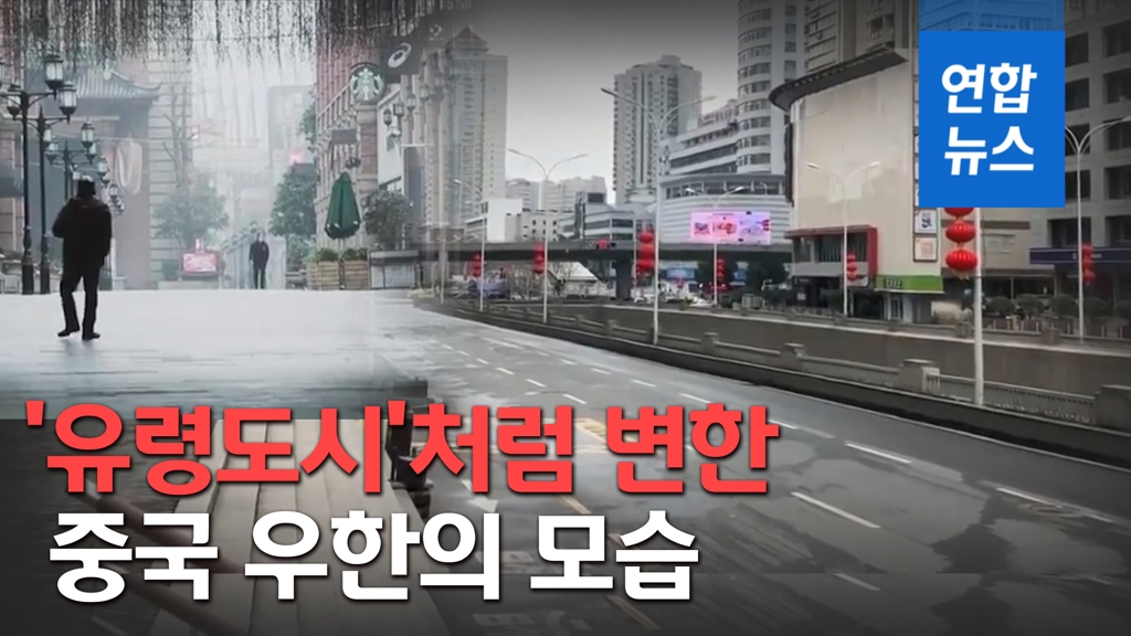 [영상] 사람도 차도 없이 텅빈 도로…'유령도시'처럼 변한 우한 - 2